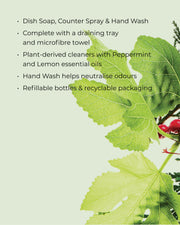 White Tea & Wild Mint