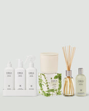 White Tea & Wild Mint Home Essentials