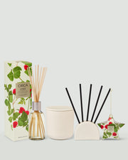 Raspberry & Rhubarb Festive Favourites