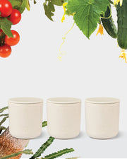 FARM Candle Trio