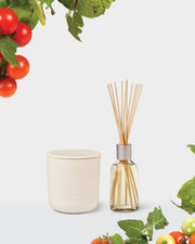 Tomato & Basil Duo