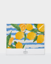 Summer greaseproof paper featuring lemons, colourful stripes and a Sorrento illustration.