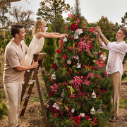 Tree Scent Stems