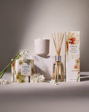 Narcissus & Patchouli Exclusives