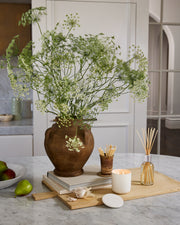 White Tea & Wild Mint Home Essentials