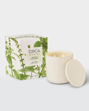 White Tea & Wild Mint