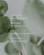 Eucalyptus & Bergamot Energise Ritual