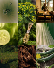 Cucumber & Dill