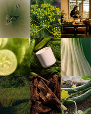 Cucumber & Dill