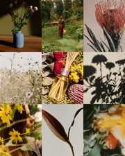 Australian Wildflowers