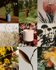 Australian Wildflowers