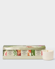 Christmas Candle Trio in front-facing botanical gift packaging beside a mini ceramic candle.
